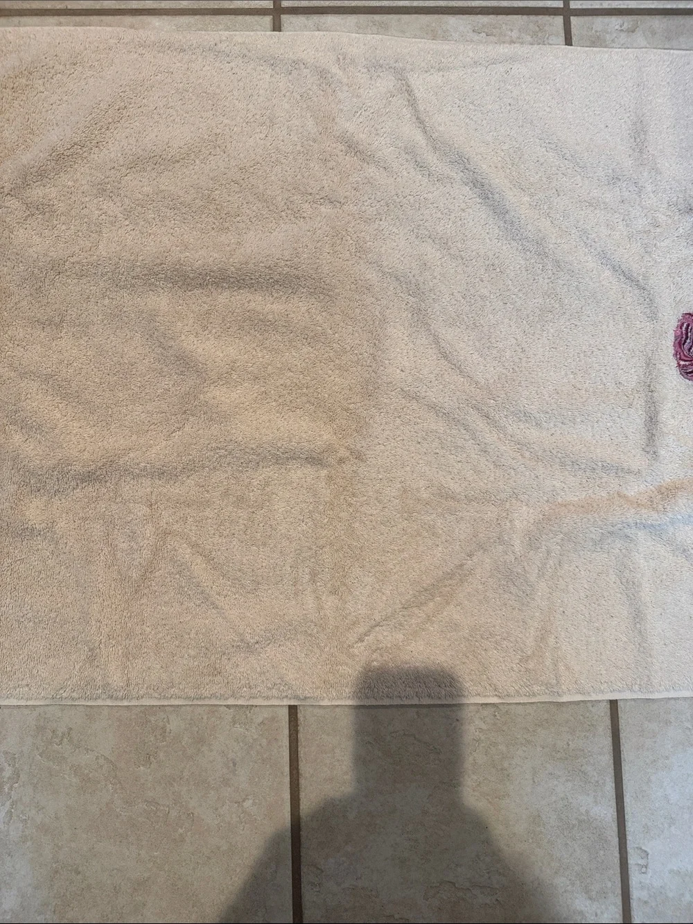 Towels Embroidered Pink Rose Cream Bath Towels Set of 2